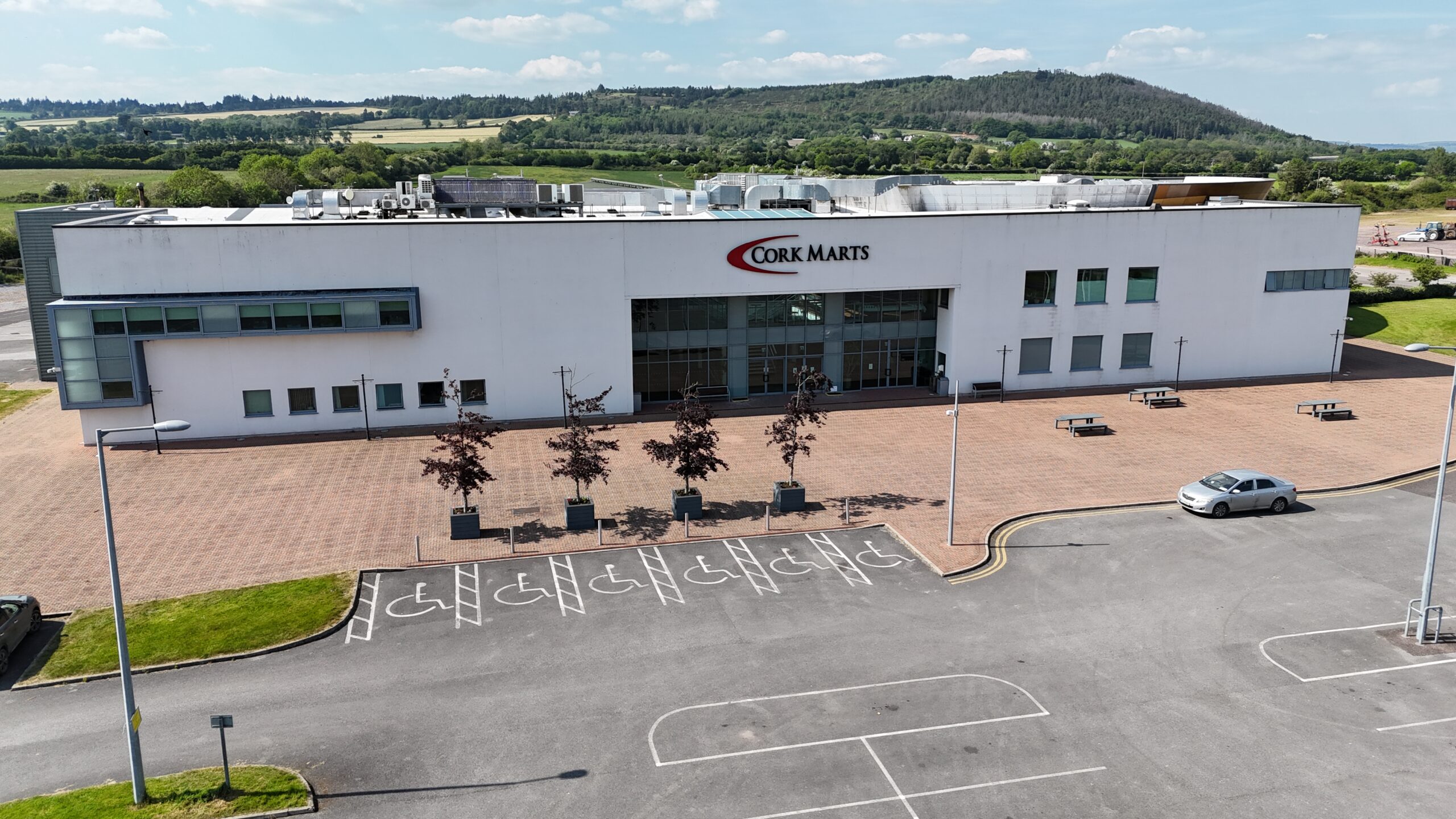 Lisduff Sale Catalogue Cork Marts