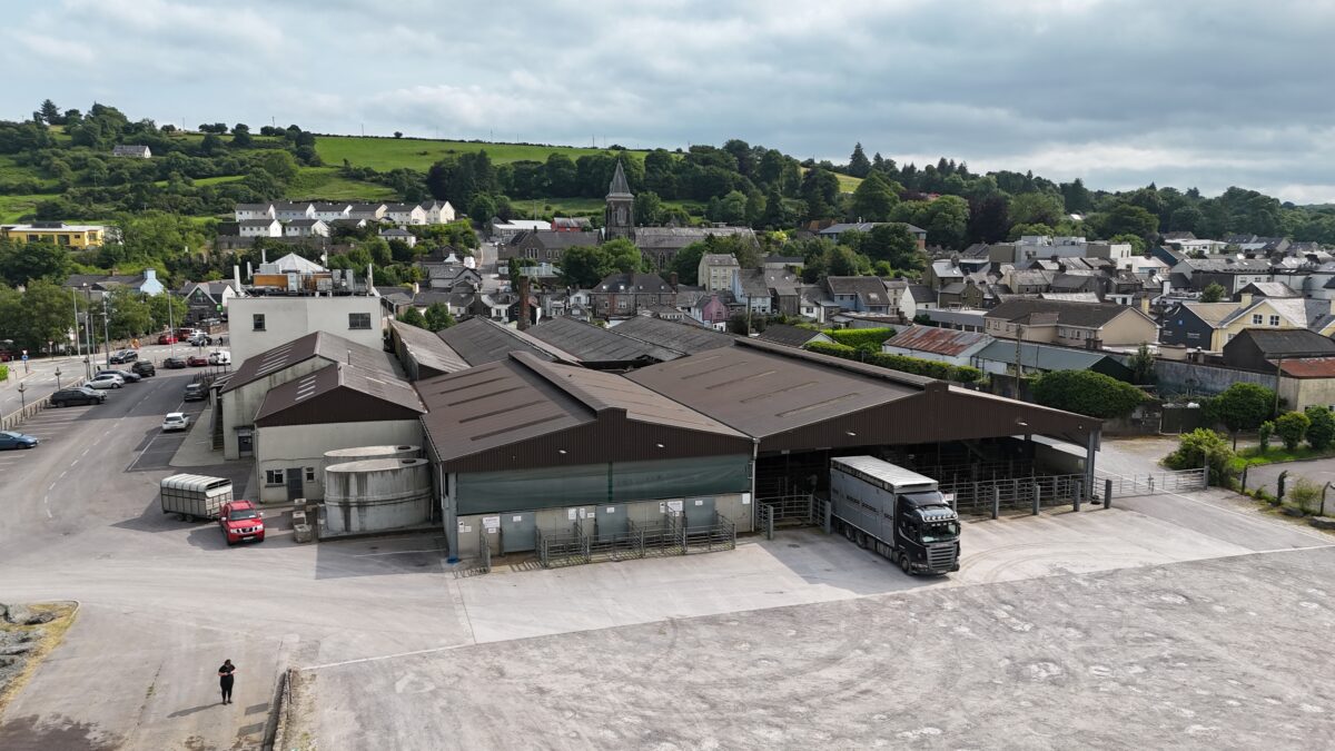Cork Marts