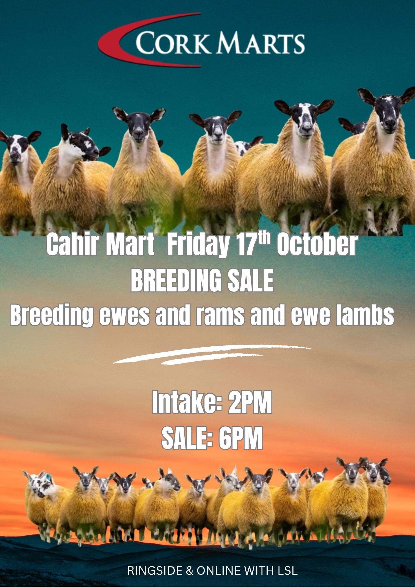 Cork Marts